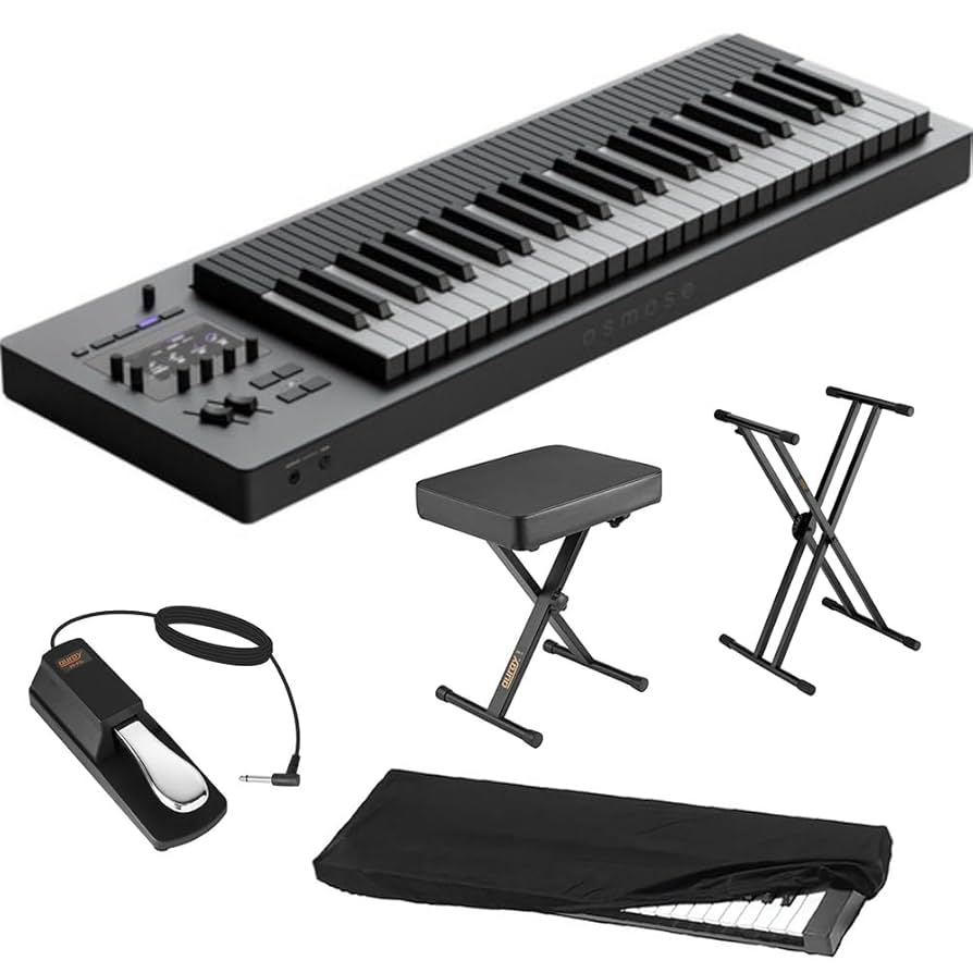 Amazon.com: EXPRESSIVE E Osmose 49-Key Synthesizer and MPE